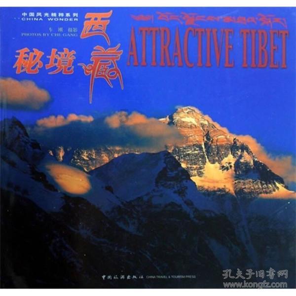 宝可梦探险寻宝